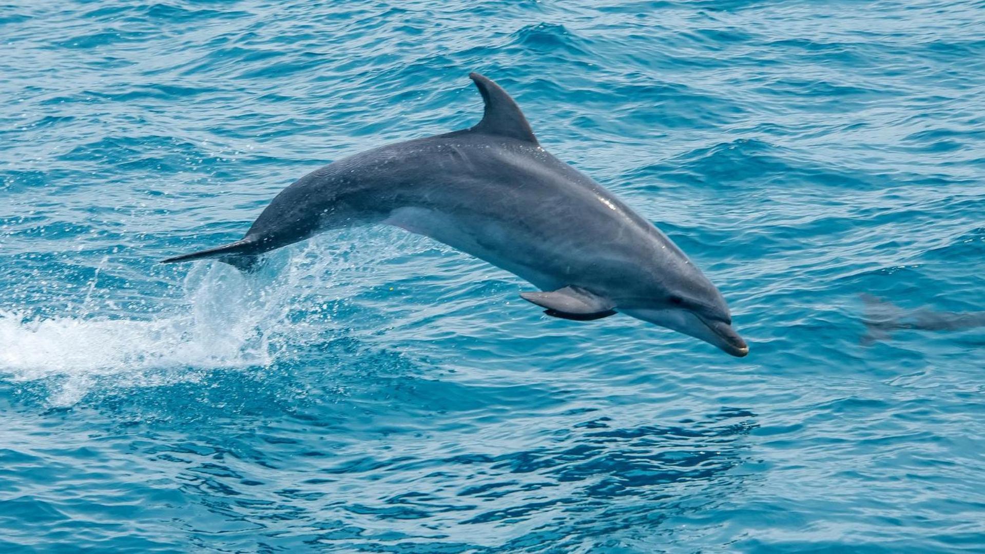 Pousada Vista Pro Mar Ilhabela Zewnętrze zdjęcie